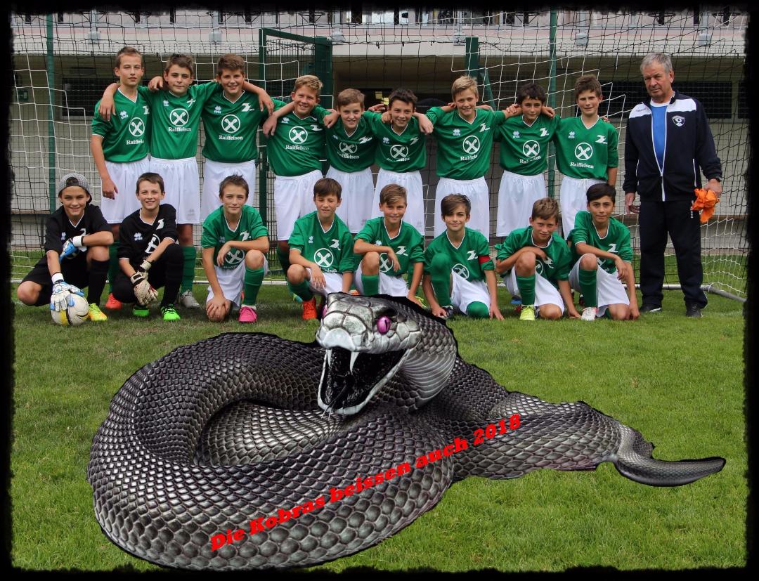 Kobras